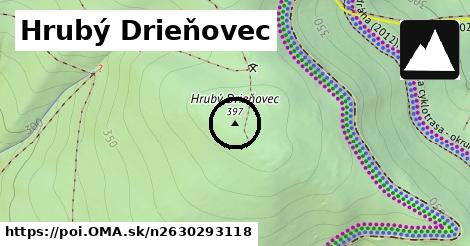 Hrubý Drieňovec