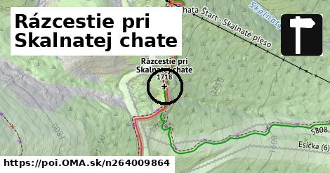 Rázcestie pri Skalnatej chate