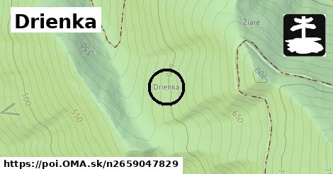 Drienka