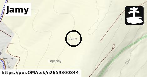 Jamy