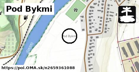 Pod Bykmi