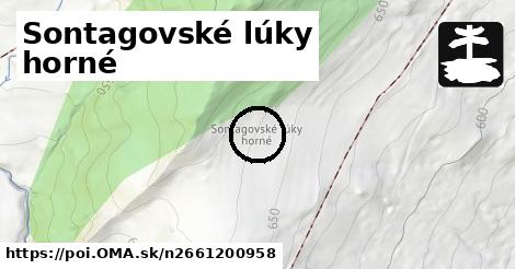 Sontagovské lúky horné