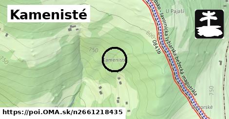 Kamenisté