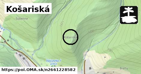 Košariská