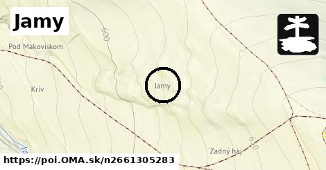 Jamy