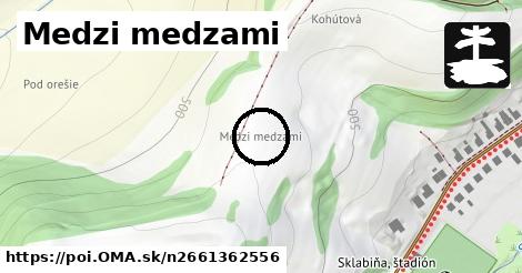 Medzi medzami