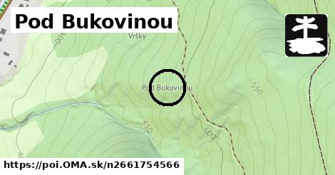 Pod Bukovinou