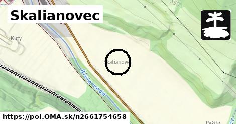 Skalianovec