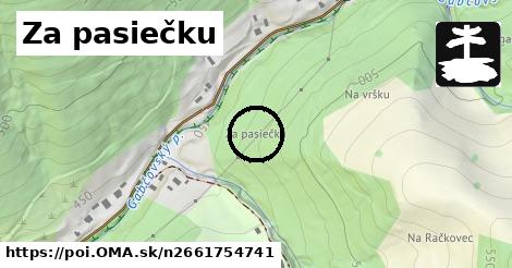 Za pasiečku