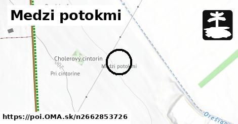 Medzi potokmi