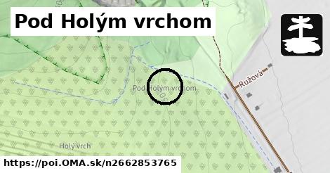 Pod Holým vrchom