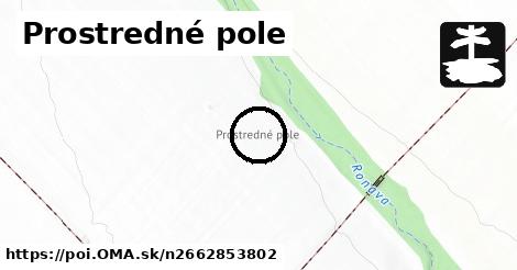 Prostredné pole