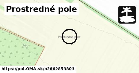 Prostredné pole