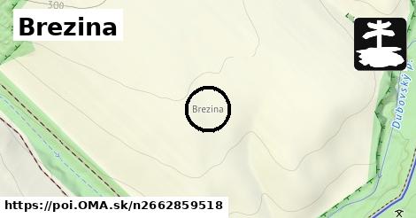 Brezina