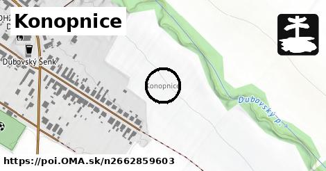 Konopnice