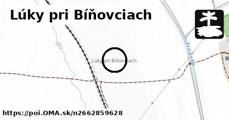 Lúky pri Bíňovciach