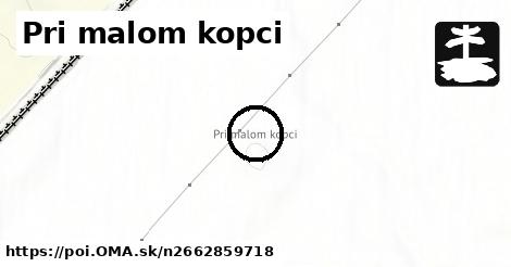 Pri malom kopci