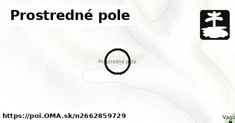 Prostredné pole