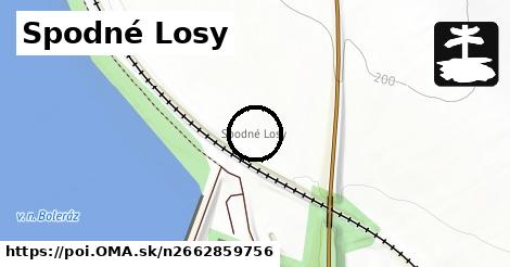 Spodné Losy