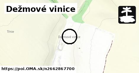 Dežmové vinice