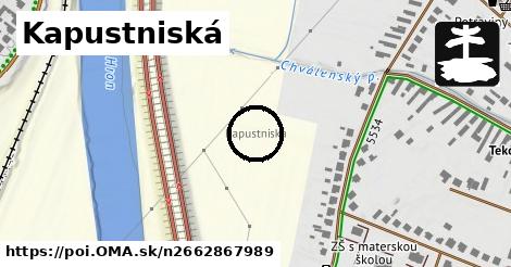 Kapustniská