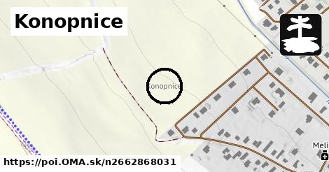 Konopnice