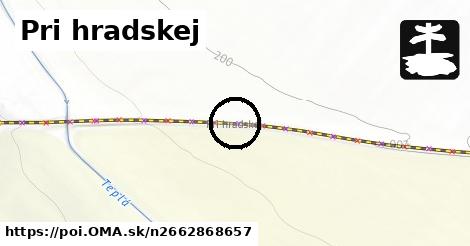 Pri hradskej