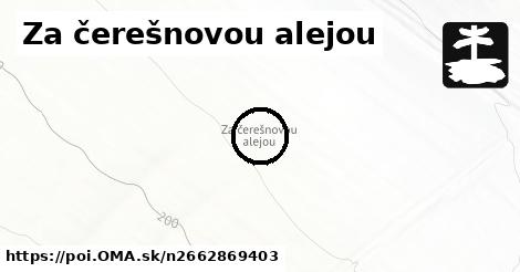 Za čerešnovou alejou