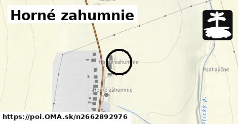 Horné zahumnie