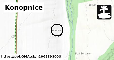 Konopnice