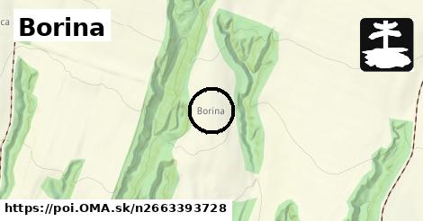 Borina