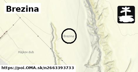 Brezina