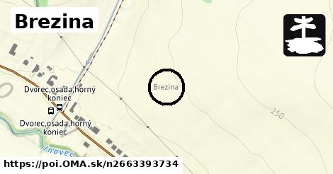 Brezina