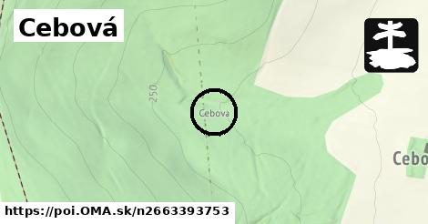 Cebová