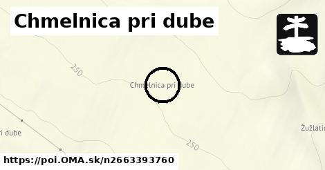 Chmelnica pri dube