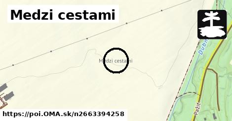 Medzi cestami