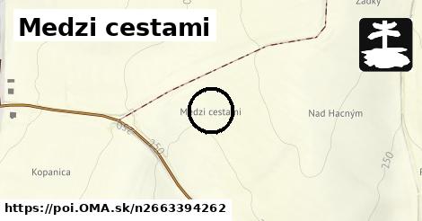 Medzi cestami