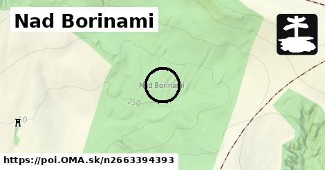 Nad Borinami