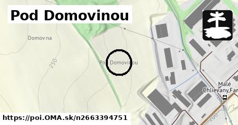 Pod Domovinou