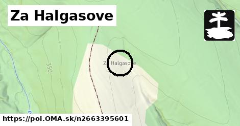 Za Halgasove