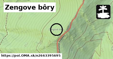 Zengove bôry