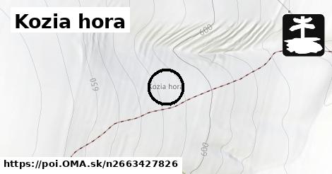 Kozia hora