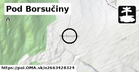 Pod Borsučiny