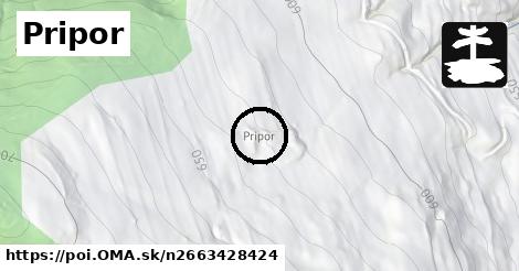 Pripor