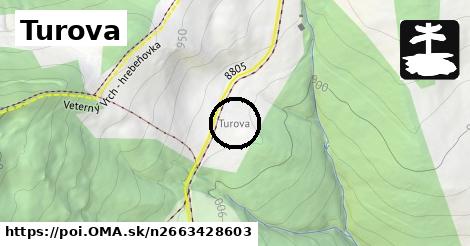 Turova