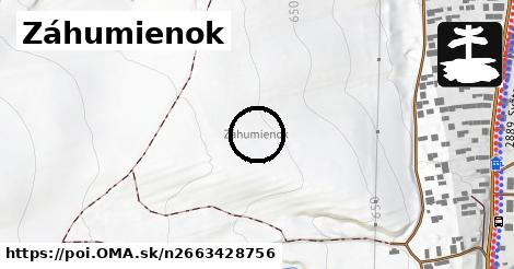 Záhumienok