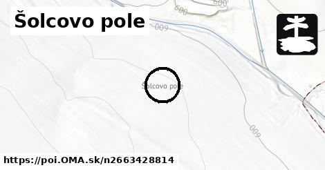 Šolcovo pole