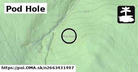 Pod Hole