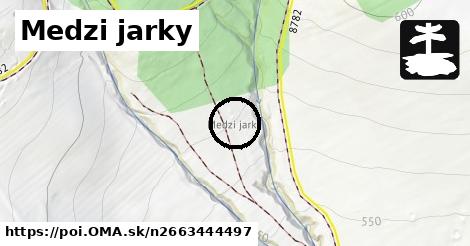 Medzi jarky