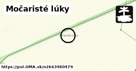 Močaristé lúky